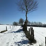 Vennhaus 33 Pers Waimes