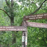 Semesterbostad Vennhaus 33 Pers Waimes