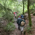 Vennhaus 33 Pers * Waimes