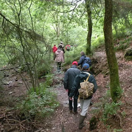 Vennhaus 33 Pers * Weismes