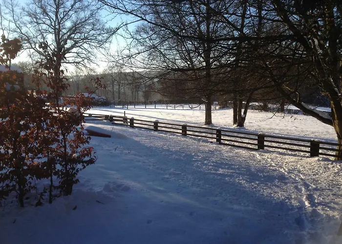 Vennhaus 33 Pers Tatil Evi