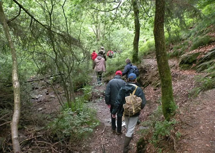 Vennhaus 33 Pers * Waimes