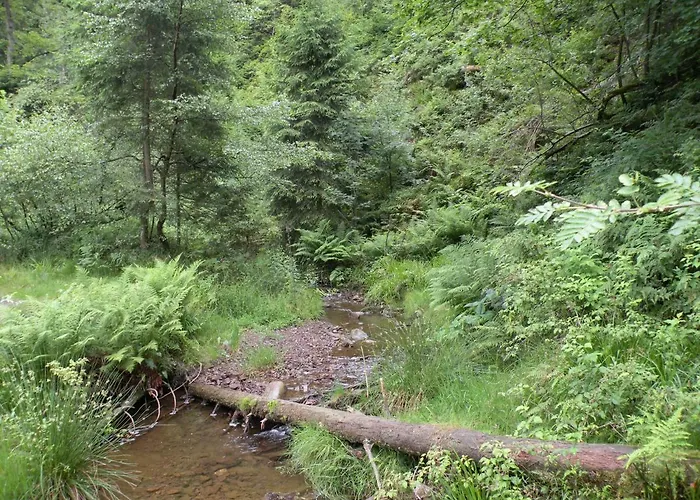 Vennhaus 33 Pers Tatil Evi